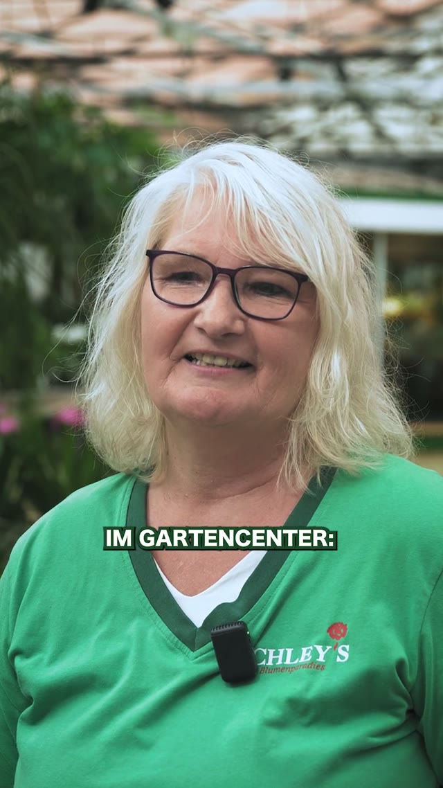 Schnelle Fragen aus dem Gartencenter – Schley’s Gartencenter