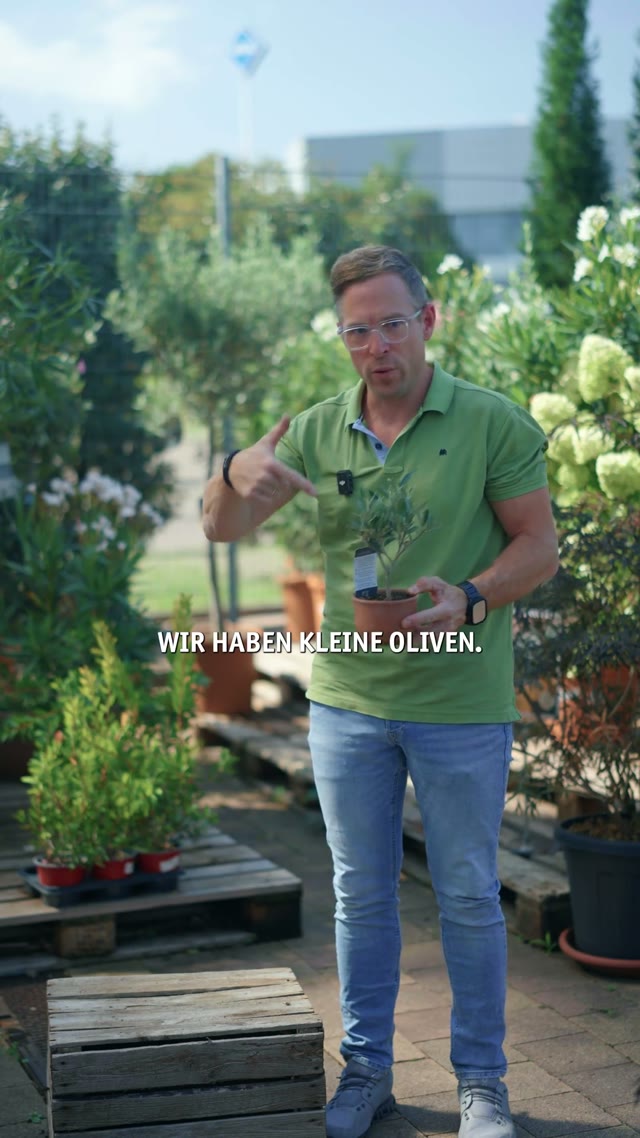 Wir lieben Oliven – Gartencenter Streb